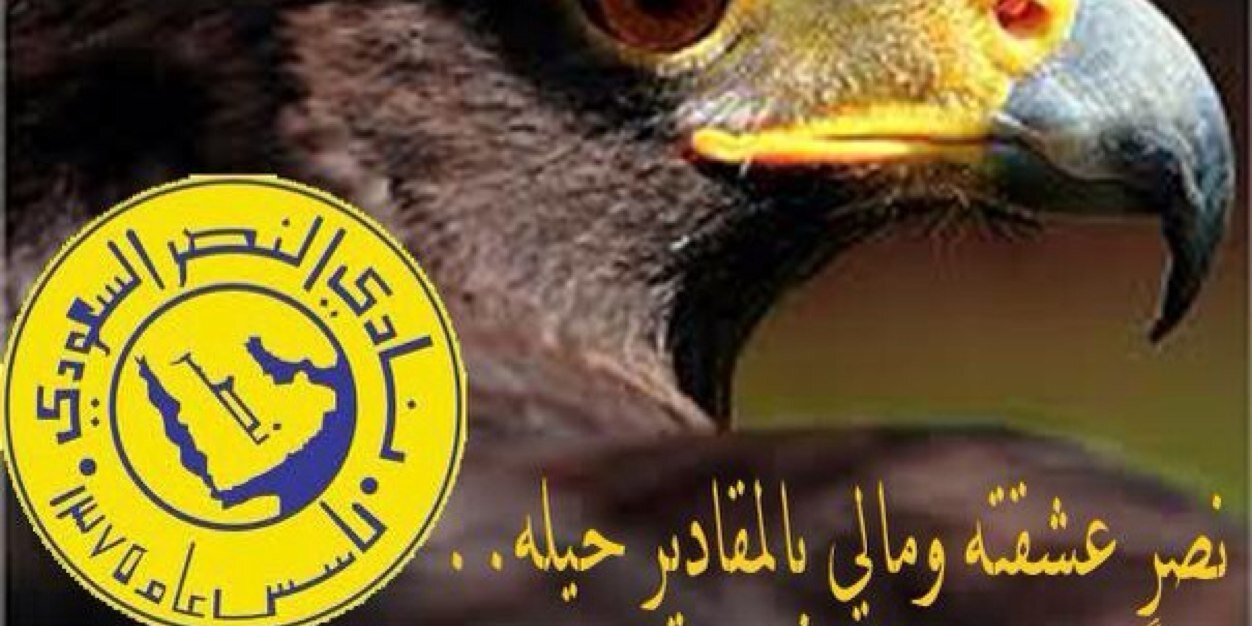 1981_aboody's profile banner image