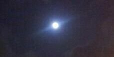 D banner