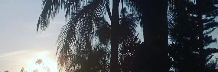 Msttyas's profile banner image