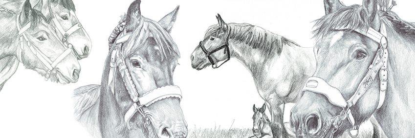 IsabAndris's profile banner image