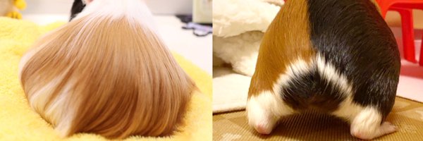 ageha5050 Profile Banner