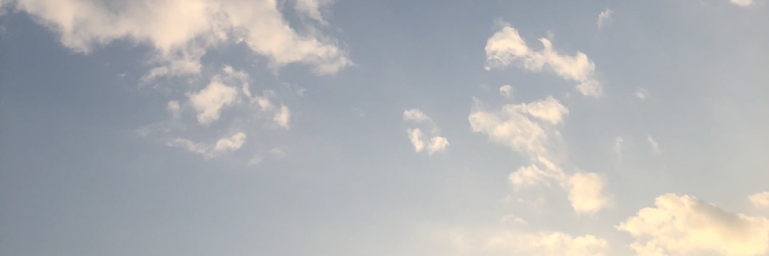 ally_ishi's profile banner image