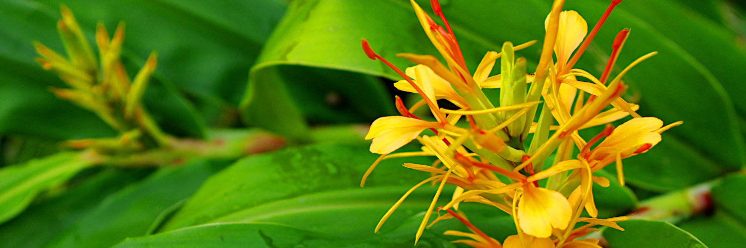 cheryl_bites's profile banner image