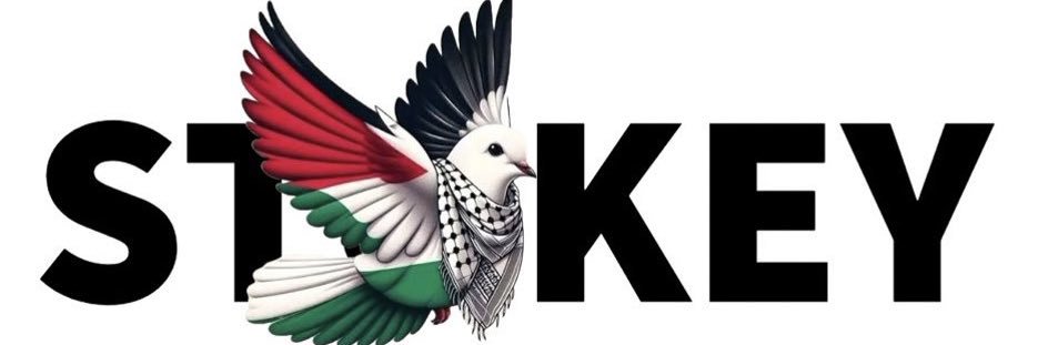 ๏ STӨKEY KIDS ๏ FREE G۸Z۸ banner