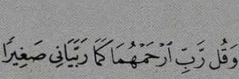 shahdmsb's profile banner image