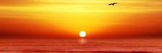 hardan121's profile banner image