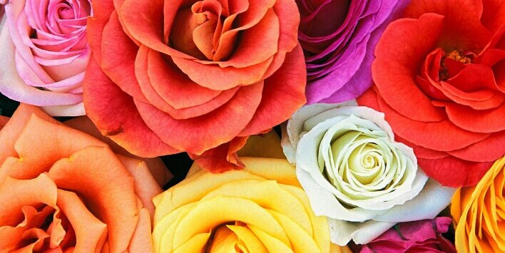 LADYK_OFFICIAL's profile banner image