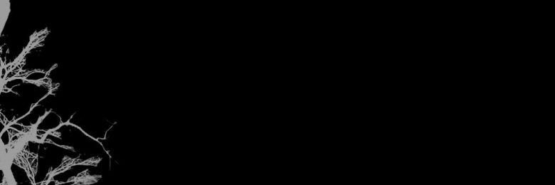 hoomy_777's profile banner image