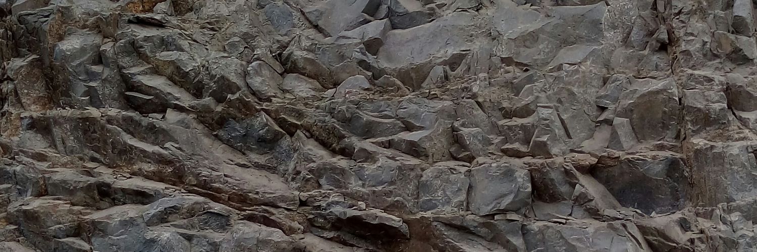 cecipiccone's profile banner image
