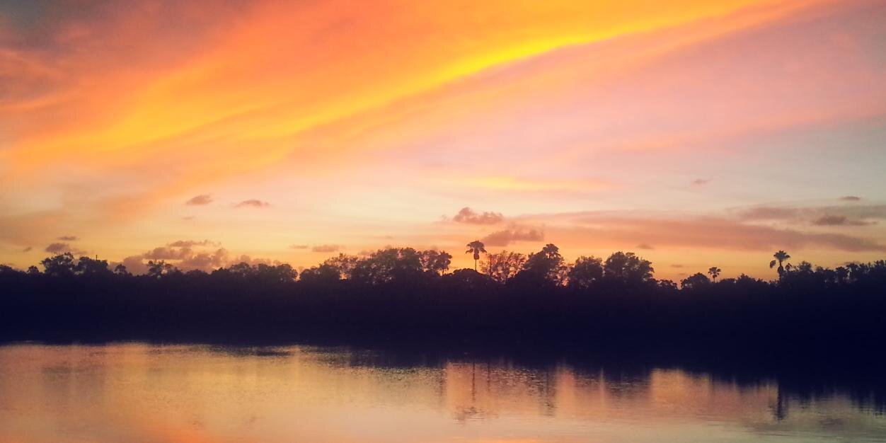 Leonora LaPeter Anton banner