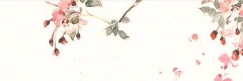 monicc3's profile banner image