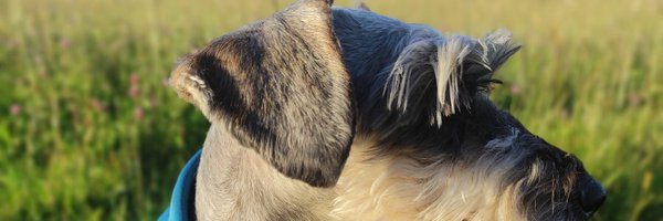 JuanBar_SF Profile Banner