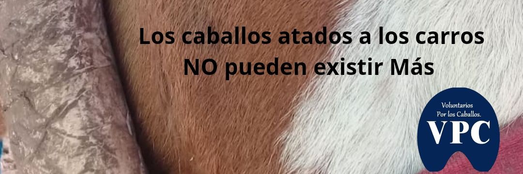 VPC🐎Voluntarios Por Los Caballos banner