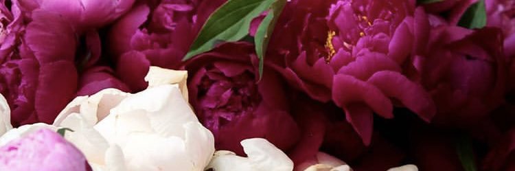 _ewatson's profile banner image