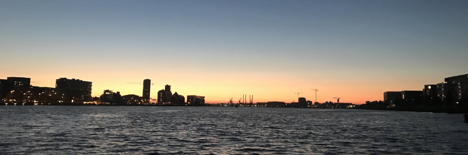 Martijn Pannevis banner