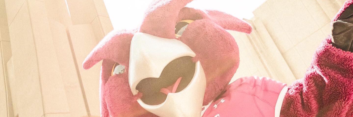 TempleMCPB's profile banner image