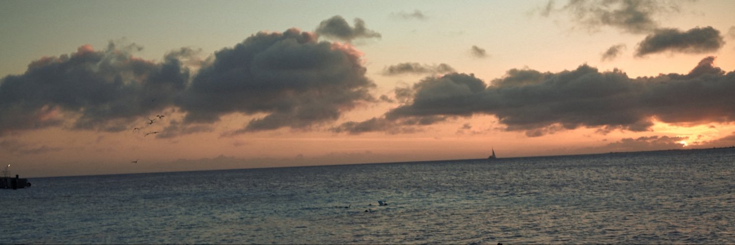 Zhd_Official's profile banner image