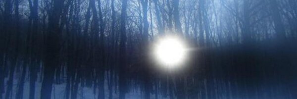 adamsteinberger Profile Banner