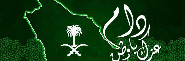 Anasaldheem's profile banner image