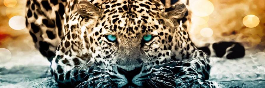 AlCisnerosG's profile banner image