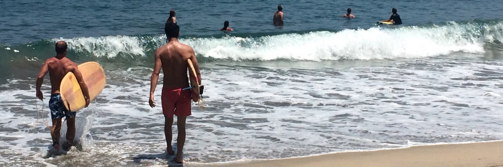 Robin Willingham banner