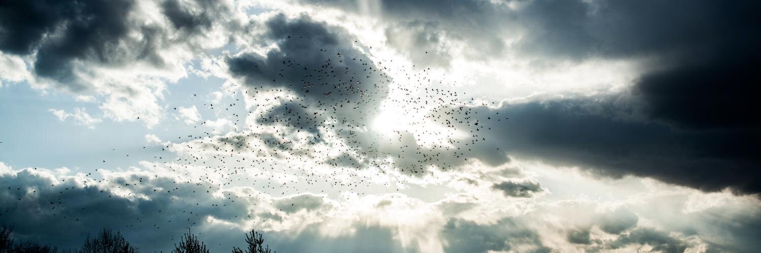 Håkon Jacobsen banner