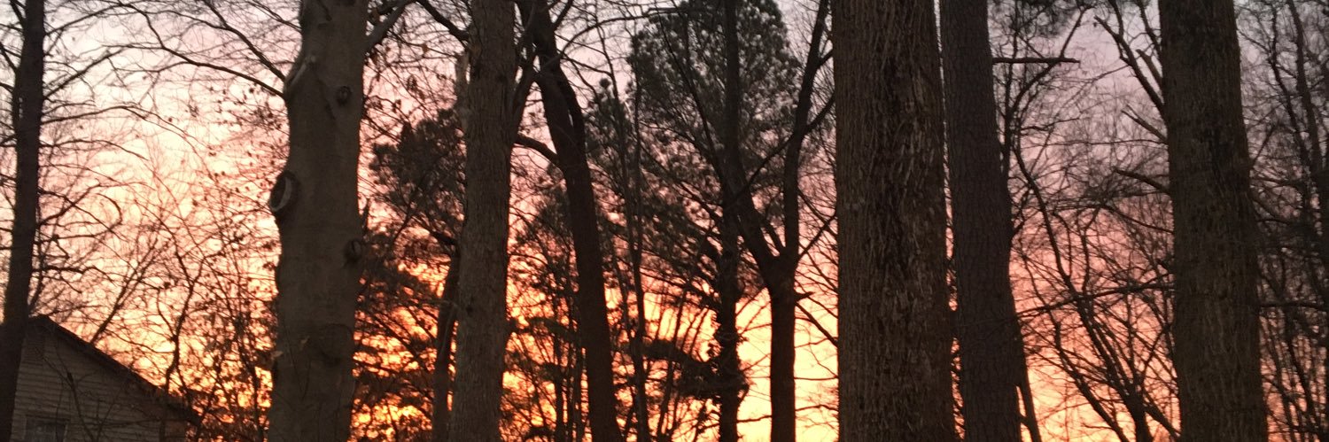 BethShannon4's profile banner image