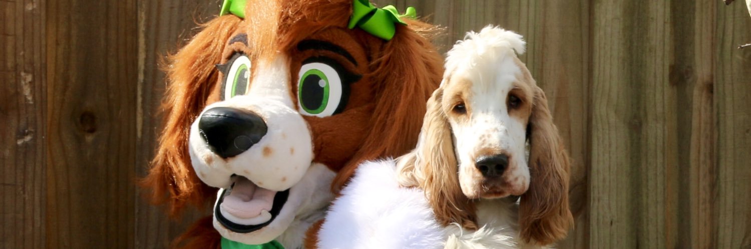 Leilia Spaniel banner