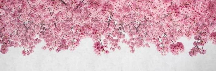 🇶🇦 فَاطِمَة بنت عَلي banner