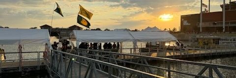 Yodes 🐻's banner