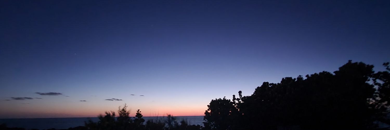 TaliMoo's profile banner image