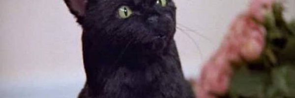 _Gwayave97 Profile Banner