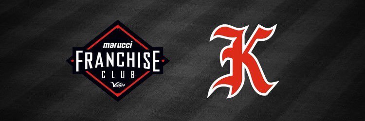 Force Elite Baseball / Knights Baseball Chicago banner