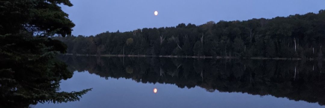 nickcampbell_'s profile banner image