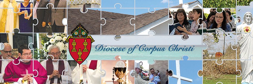 Bishop Mulvey banner