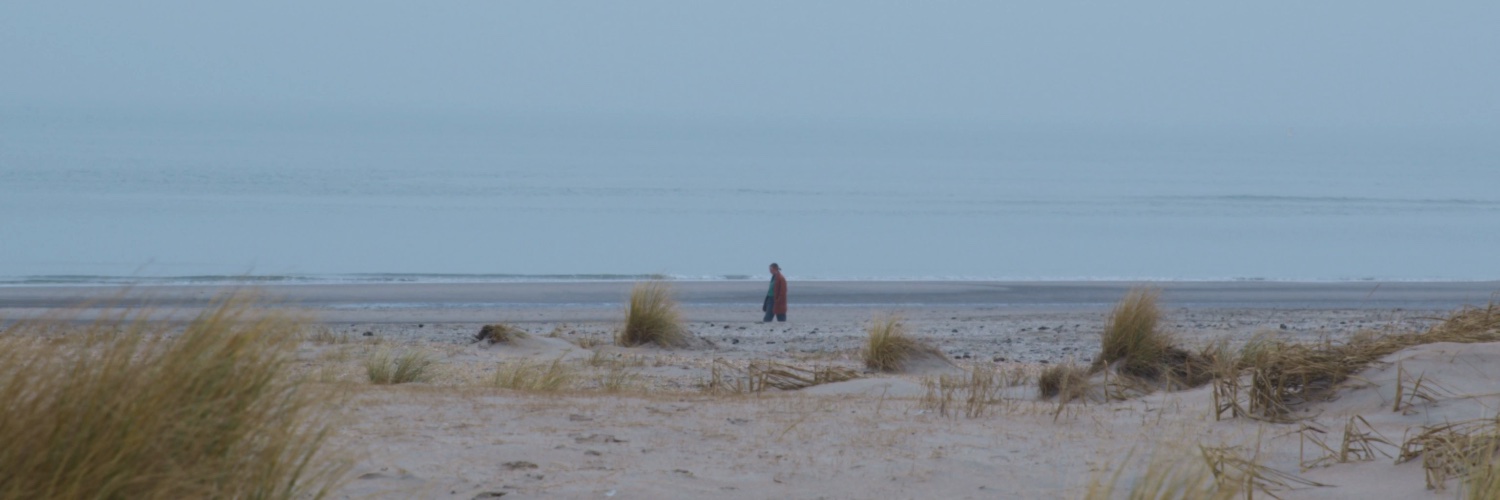 lammersrindert's profile banner image