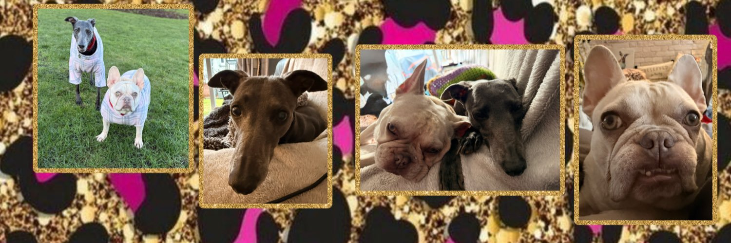 LianneyAndAlba's profile banner image