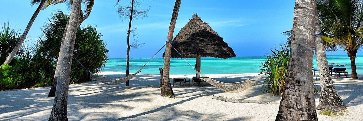 oscarsalicetti's profile banner image