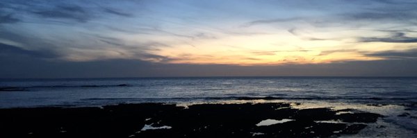 marti__v Profile Banner