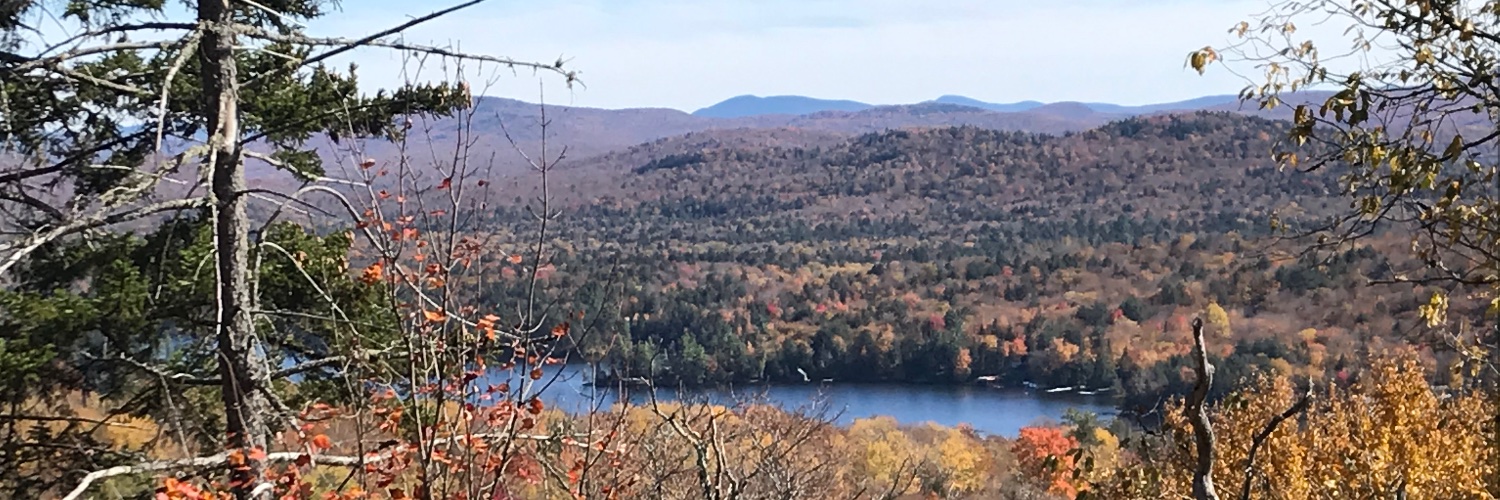 Brimley, Wilford banner