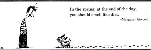 Micah Baldwin banner