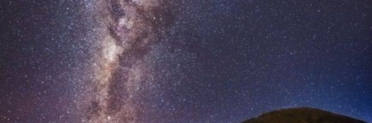 whitec0c0o's profile banner image
