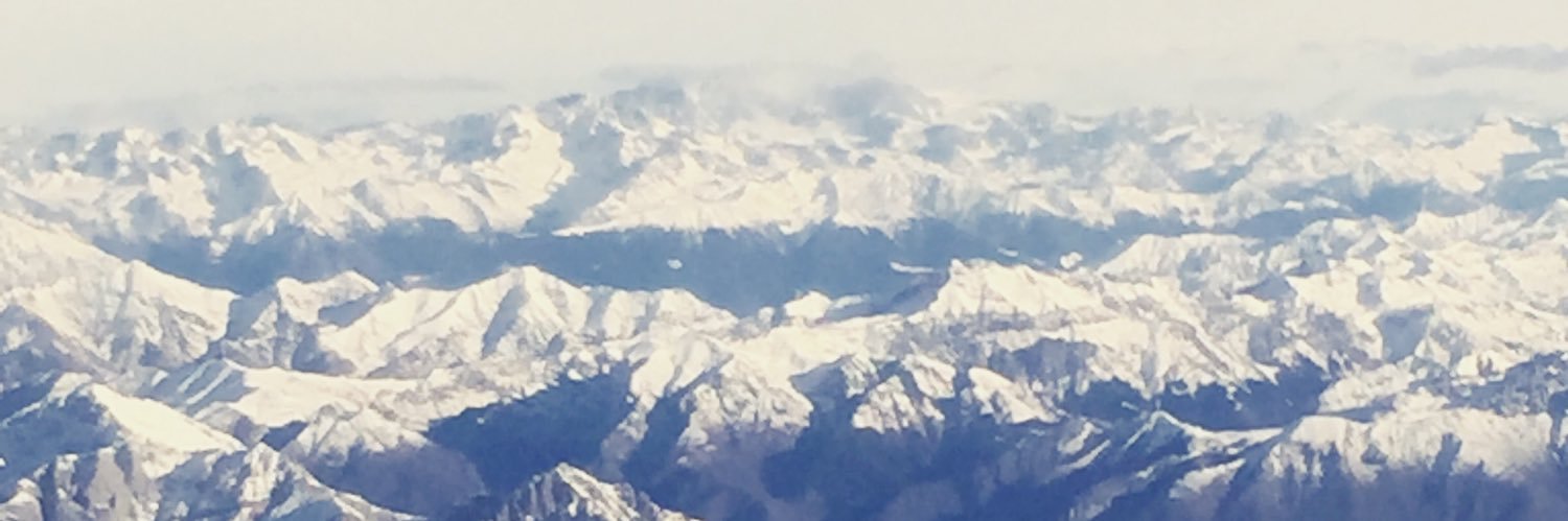 Anna Voltolini banner