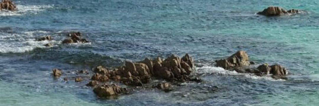 estiizq's profile banner image