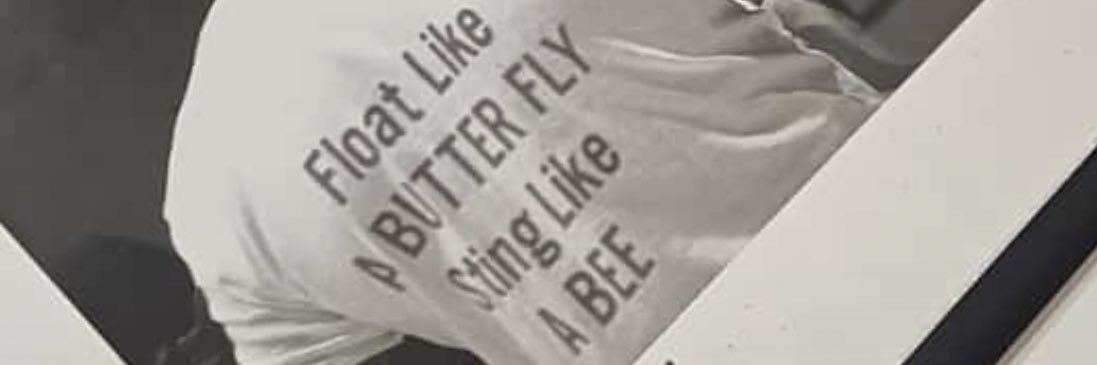 fifi_fierce's profile banner image