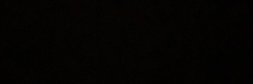 Viviana Rocha banner