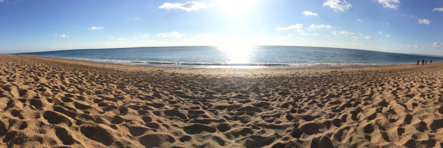 Foxytherapist's profile banner image