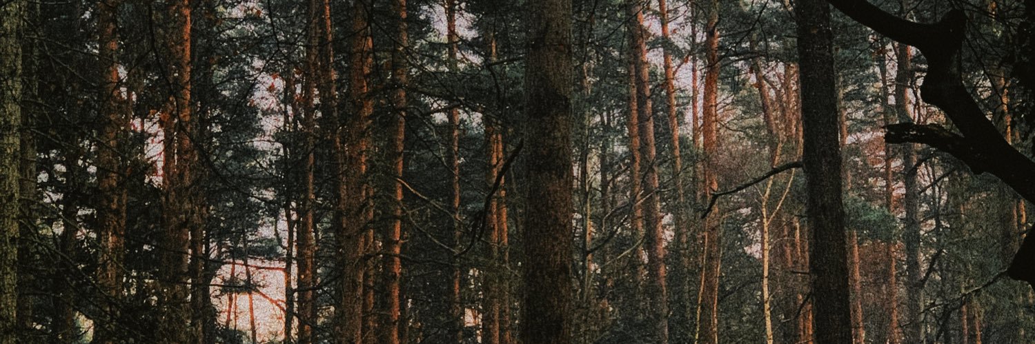 AnnaBrantPhoto's profile banner image