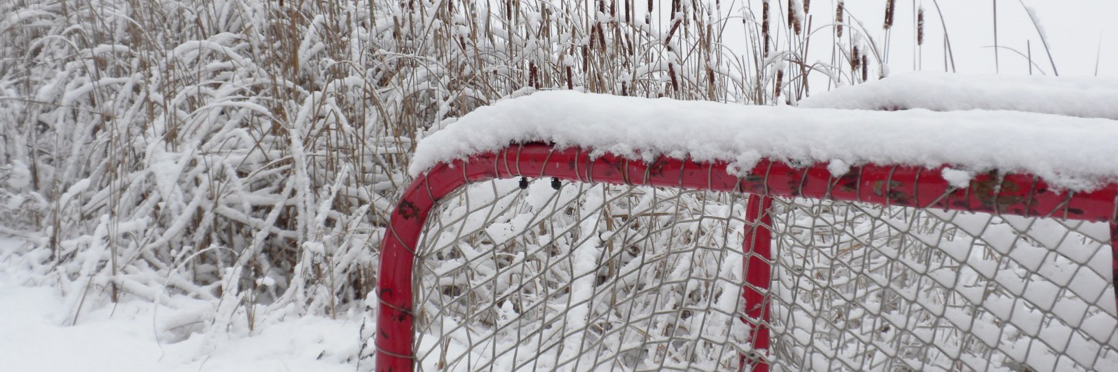 Stuart W Grande banner