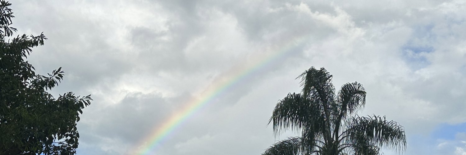 lucas2sdev's profile banner image